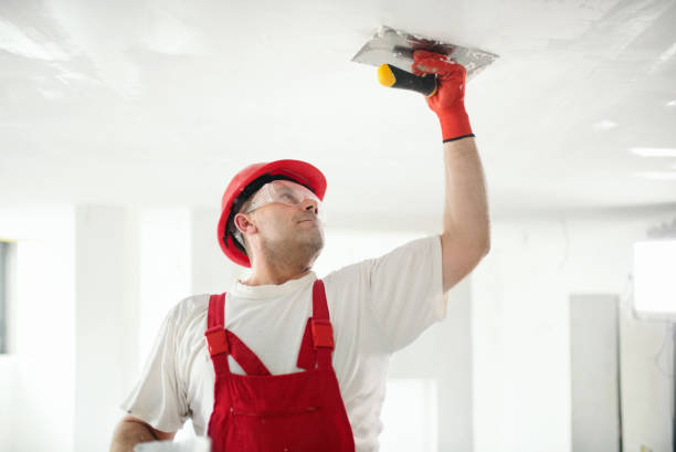 Best Basement Mold Removal  in Medford, MN