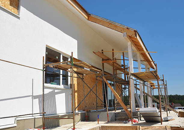 Best Mold Documentation for Insurance Claims  in Medford, MN