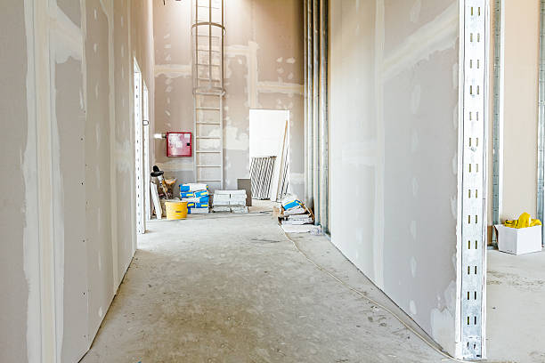 Best Industrial Mold Remediation  in Medford, MN