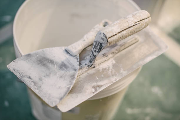 Best Black Mold Removal  in Medford, MN