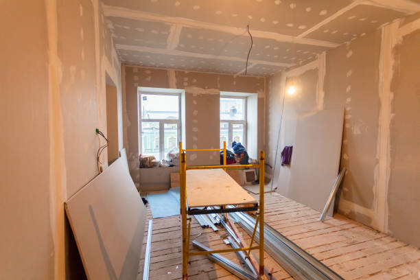 Best Real Estate Mold Inspection  in Medford, MN